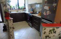 Duplex de 140 mp utili, teren de 150 mp! Zona Somesului!