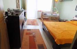 Duplex de 140 mp utili, teren de 150 mp! Zona Somesului!