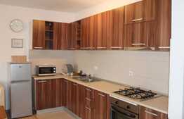 Apartament de inchiriat cu 2 camere, 44 mp, cochet! Zona strazii Porii!