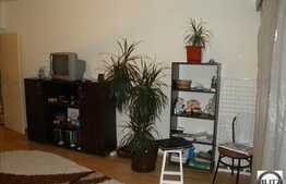 36 mp la 5 minute de Iulius Mall!