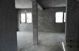 Vanzare casa individuala, 119 mp utili, 350 mp teren, zona linistita