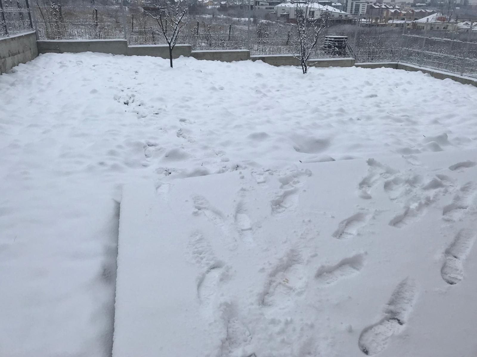 Casa de vânzare 4 camere Borhanci - 29815CV | BLITZ Cluj-Napoca | Poza12