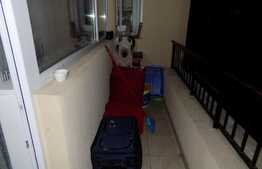 De vanzare 3 camere, 59 mp, parcare, zona strazii Teilor