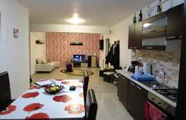 Apartament spatios, 58 mp, mobilat si utilat modern! Zona strazii Florilor!