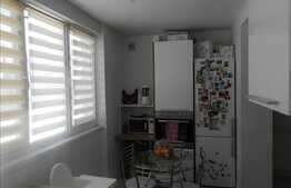 Apartament de vanzare, 3 camere, 77 mp, 2 terase de 21 mp, zona strazii Porii