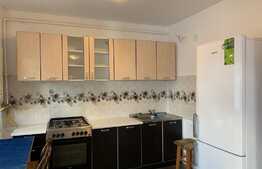 Apartament 2 camere, PET FRIENDLY , 56 mp,  zona VIVO