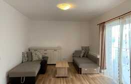 Apartament 2 camere, PET FRIENDLY , 56 mp,  zona VIVO