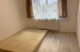 Apartament 2 camere, PET FRIENDLY , 56 mp,  zona VIVO