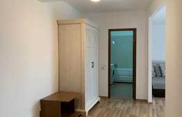 Apartament 2 camere, PET FRIENDLY , 56 mp,  zona VIVO