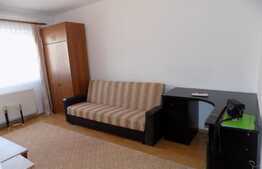 De inchiriat garsoniera, 22 mp, renovata, zona FSEGA