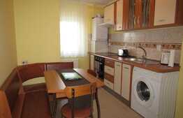 2 camere, prima inchiriere, 45 mp, zona strazii Aleea Godeanu