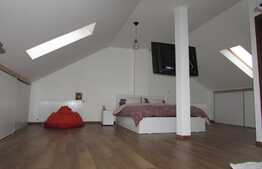 Casa de vanzare 120 mp, 345 mp, front 13 mp, zona Expo Transilvania