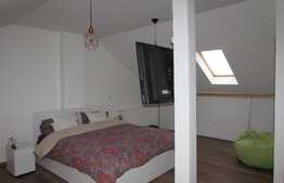 Casa de vanzare 120 mp, 345 mp, front 13 mp, zona Expo Transilvania