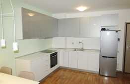 Apartament 2 camere, 55 mp, mobilat modern, imobil nou, parcare, zona Platinia