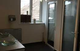 Spatiu de birouri central, 150 mp, zona Clinicii Dominic Stanca