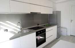 2 camere, prima inchiriere, modern mobilat, zona strazii Borhanciului