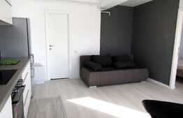 2 camere, prima inchiriere, modern mobilat, zona strazii Borhanciului