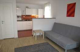 De inchiriat garsoniera, 36 mp, etaj intermediar, zona Casa Vikingilor