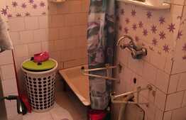 De vanzare garsoniera, 22 mp, etaj intermediar, zona FSEGA