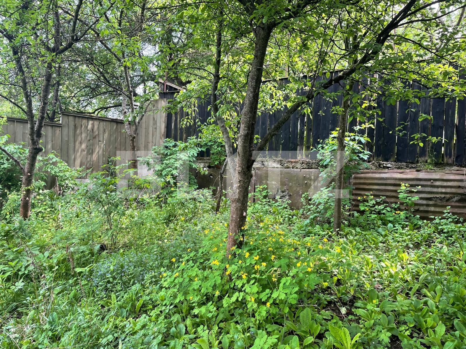 Casa de vânzare 4 camere Zorilor - 29954CV | BLITZ Cluj-Napoca | Poza6