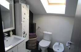 De vanzare 3 camere, 120 mp,terasa 40mp, imobil de tip vila, zona strazii Gruia