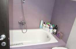 De vanzare 3 camere, 120 mp,terasa 40mp, imobil de tip vila, zona strazii Gruia