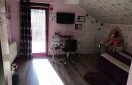 De vanzare 3 camere, 120 mp,terasa 40mp, imobil de tip vila, zona strazii Gruia