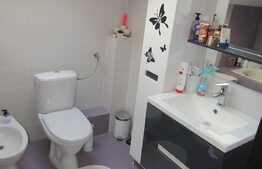 De vanzare 3 camere, 120 mp,terasa 40mp, imobil de tip vila, zona strazii Gruia