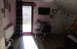 De vanzare 3 camere, 120 mp,terasa 40mp, imobil de tip vila, zona strazii Gruia