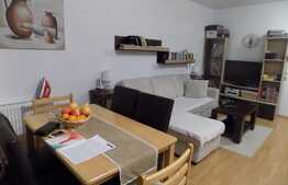 Apartament cu 2 camere, 42 mp, balcon de 8 mp, mobilat si utilat! Zona Terra!