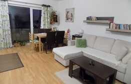 Apartament cu 2 camere, 42 mp, balcon de 8 mp, mobilat si utilat! Zona Terra!