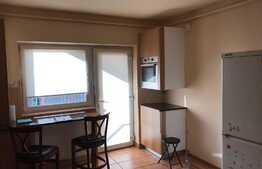 Apartament in vila, 4 camere, 90 mp! Zona strazii Dumitru Mocanu!