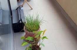 Apartament 2 camere, 50 mp, parcare, zona Oncos