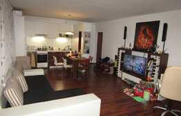 Apartament spatios, 3 camere, 68 mp! Mobilat si utilat! Zona strazii Tineretului!