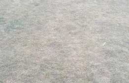 Teren intravilan de 1774 mp, front de 12 ml! Zona de case!