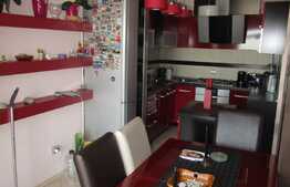 Apartament 3 camere pe 2 niveluri, 91 mp, parcare, zona strazii Constantin Brancusi