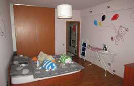 Apartament 3 camere pe 2 niveluri, 91 mp, parcare, zona strazii Constantin Brancusi