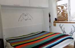 De inchiriat garsoniera, 20 mp, zona Stadion CFR