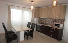 Apartament 2 camere, 55 mp, terasa, garaj, prima inchiriere, zona USAMV