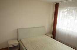 Apartament 2 camere, 50 mp, zona strazii Constantin Brancusi