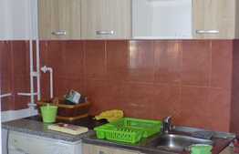 De inchiriat garsoniera, 32 mp, zona Complex Mercur