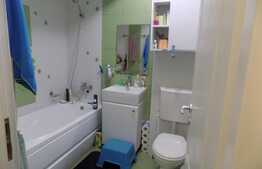 Apartament cu 3 camere, 56 mp, LA CHEIE! Zona strazii Muzeul Apei!