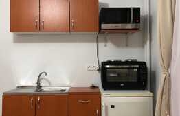 De vanzare garsoniera, 15 mp, decomandata, zona Parcul Central