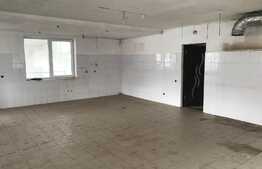 Vanzare casa individuala, 250 mp, 450 mp teren, zona de case