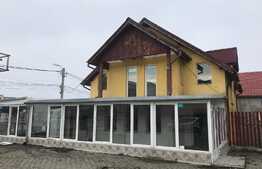 Vanzare casa individuala, 250 mp, 450 mp teren, zona de case