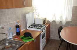 Apartament cu 2 camere, 52 mp, zona strazii Hateg