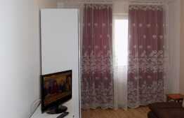 De inchiriat apartament 2 camere, 42 mp, gradina, zona Terapia