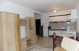 De inchiriat apartament 2 camere, 42 mp, gradina, zona Terapia