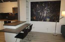 Apartament 2 camere, 53 mp,prima inchiriere, AC, zona Complex Platinia