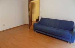 Garsoniera de 32 mp cu gradina de 40 mp! Zona strazii Porii!